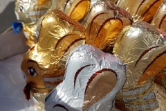 20200411_155421-scaled