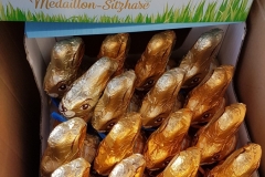 20200411_155433-scaled