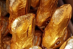 20200411_155447-scaled