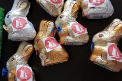 20200411_163420-scaled