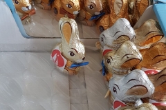 20200411_163619-scaled