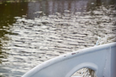 11.09.2020:  Billesafari in Kooperation mit BOOT Hamburg